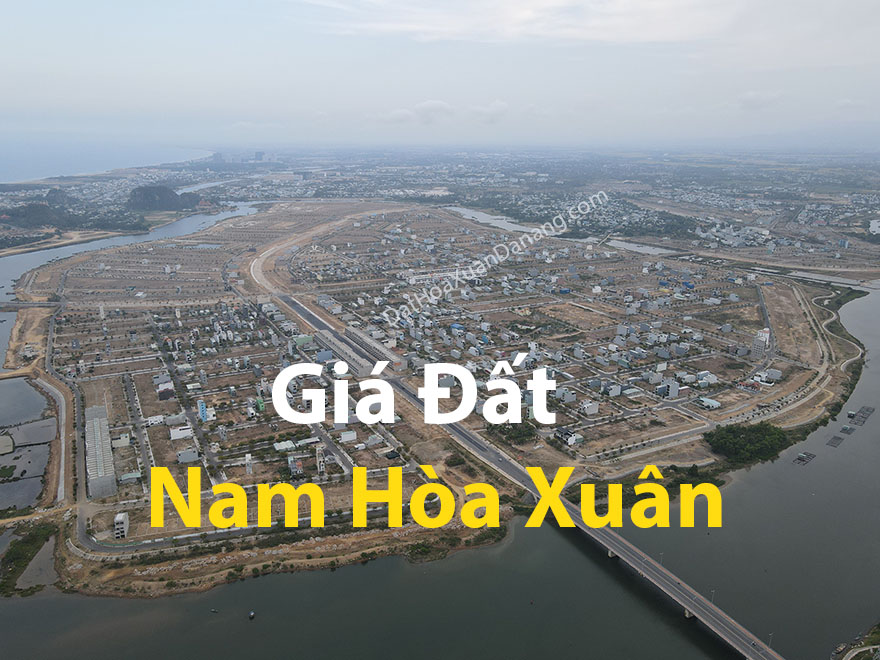 gia-dat-nam-hoa-xuan-fb-ads-ava.jpg