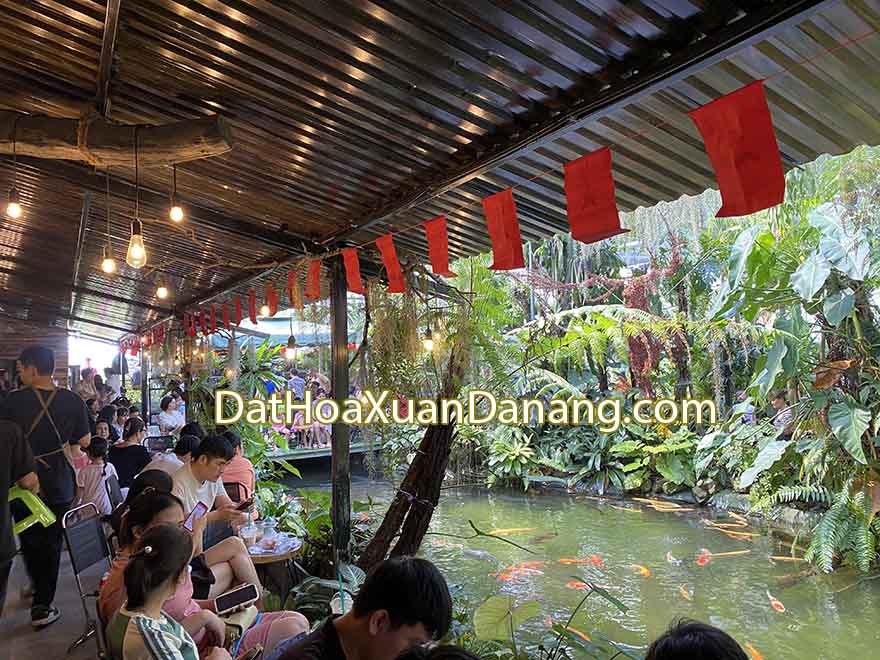 tiem-cafe-cay-va-nuoc-hoa-xuan-ava.jpg