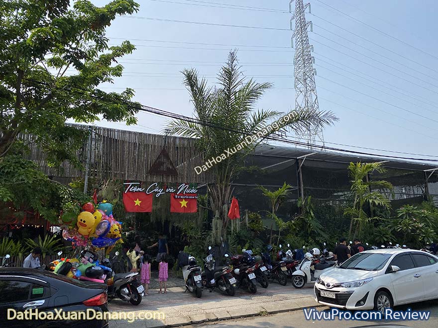 tiệm cafe cây và nước hoà xuân đà nẵng
