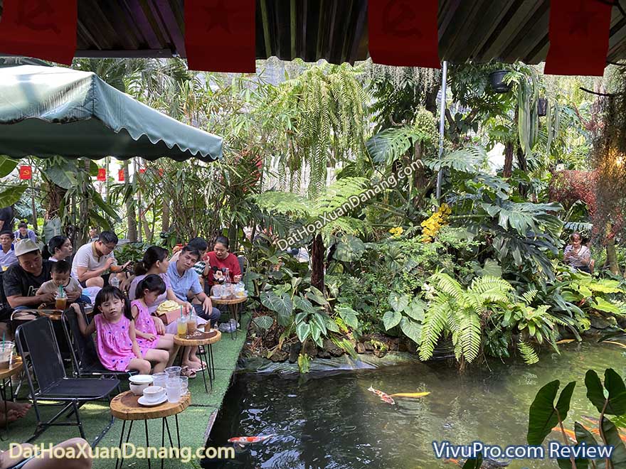 tiệm cafe cây và nước hoà xuân đà nẵng