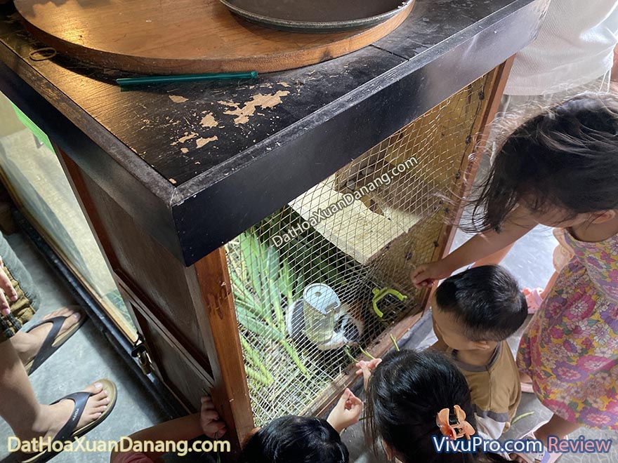 tiệm cafe cây và nước hoà xuân đà nẵng