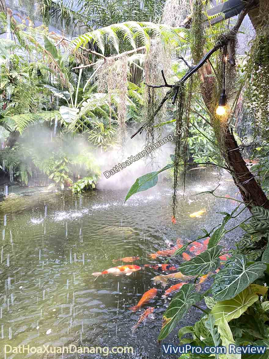 tiệm cafe cây và nước hoà xuân